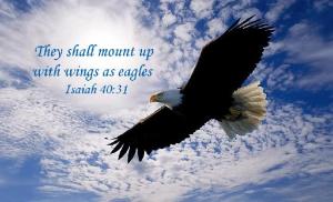 708_nacw_soaring_eagle_with_scripture_1011_Scripture